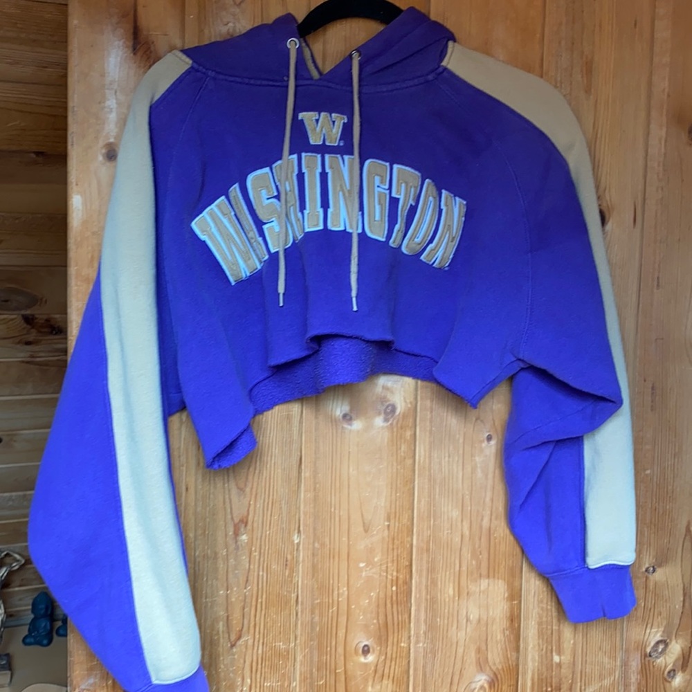 WASHINGTON UW cropped hoodie